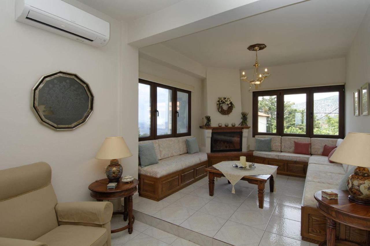 Iatrou House- Villa With Incredible View Portariá Exterior foto